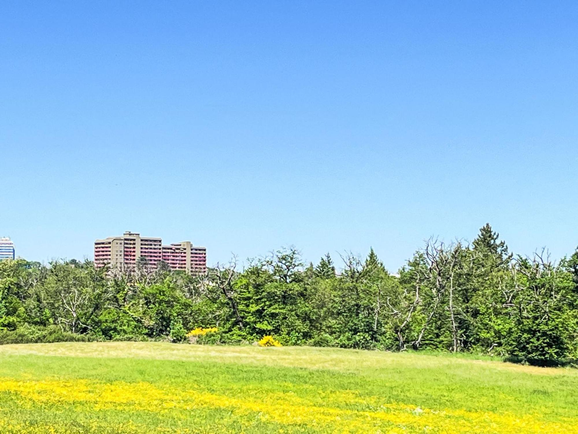 Apartment B906 By Interhome ラーンシュタイン エクステリア 写真